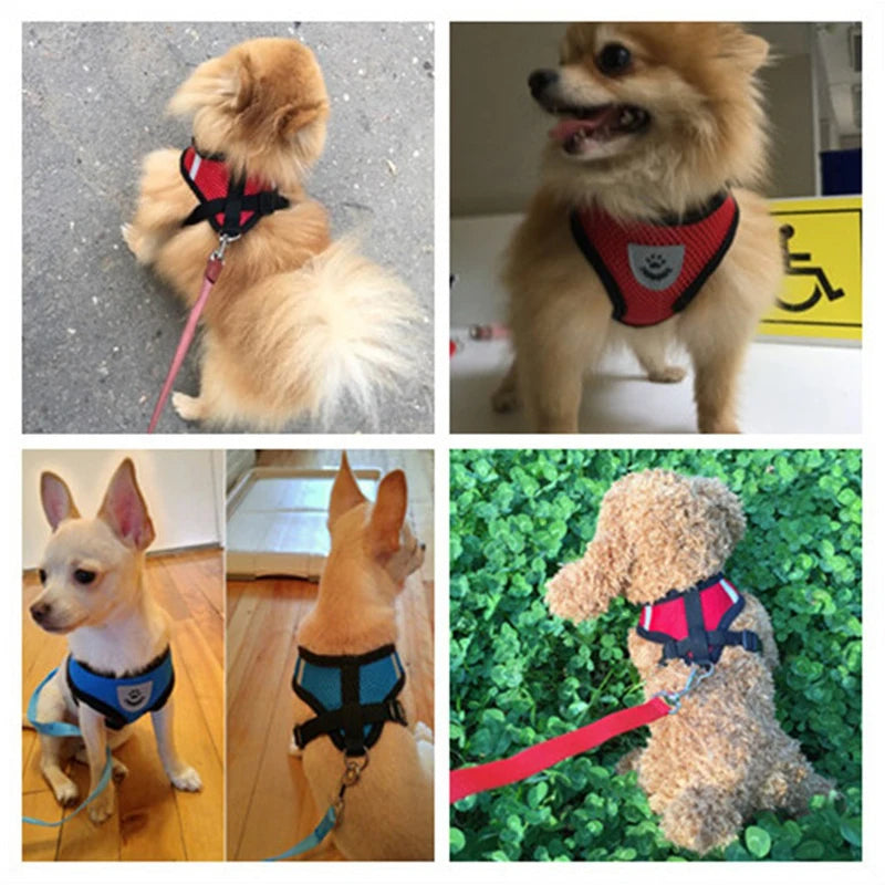 Adjustable Mesh Dog Harness and Leash Set