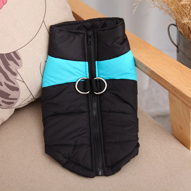 Winter Warrior Waterproof Dog Coat – Warm &amp; Stylish Jacket