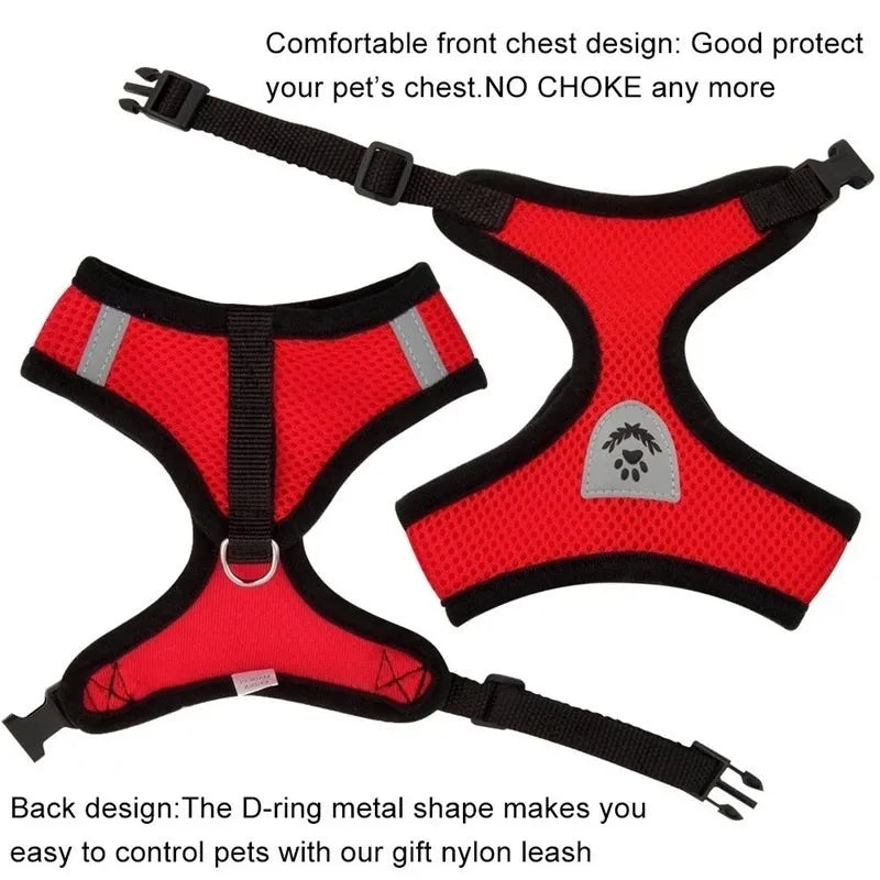 Adjustable Mesh Dog Harness and Leash Set