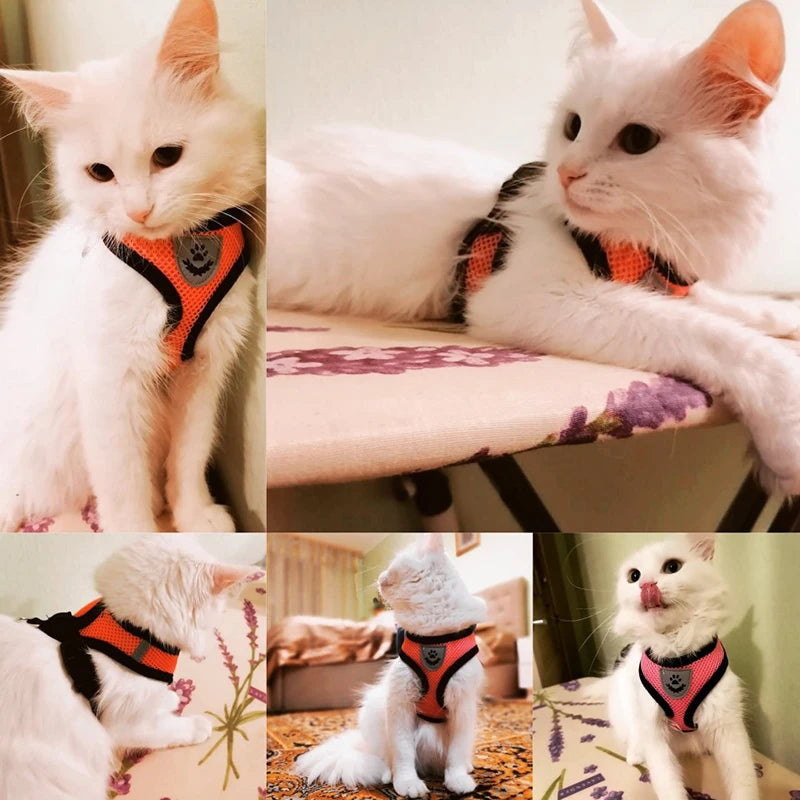 Adjustable Mesh Cat &amp. Dog Harness Vest with Leash