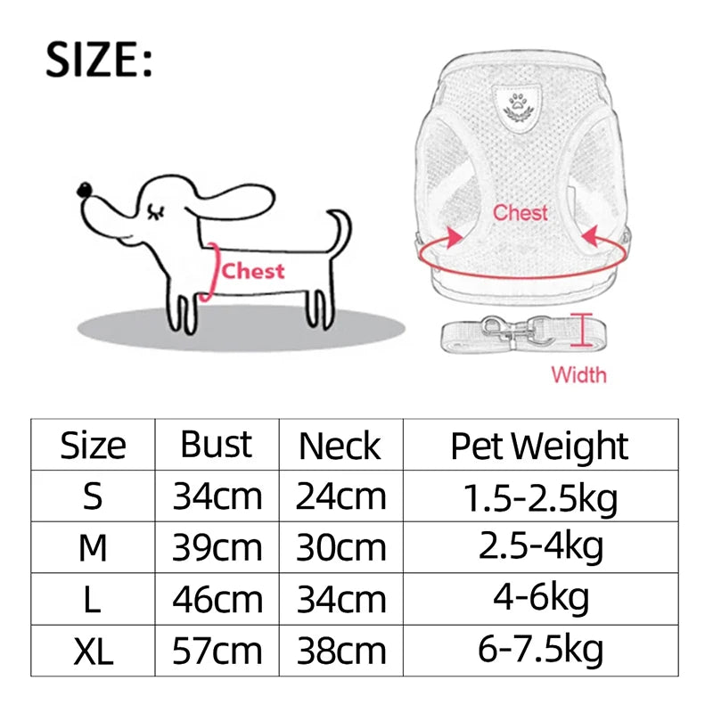 Adjustable Mesh Dog Harness and Leash Set