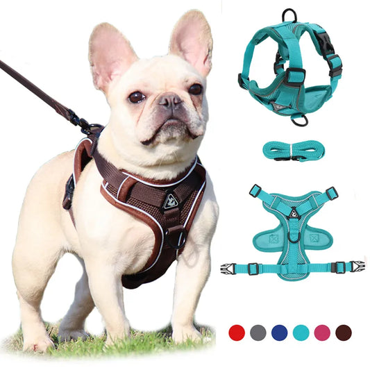 Reflective Mesh Dog Harness and Leash Set