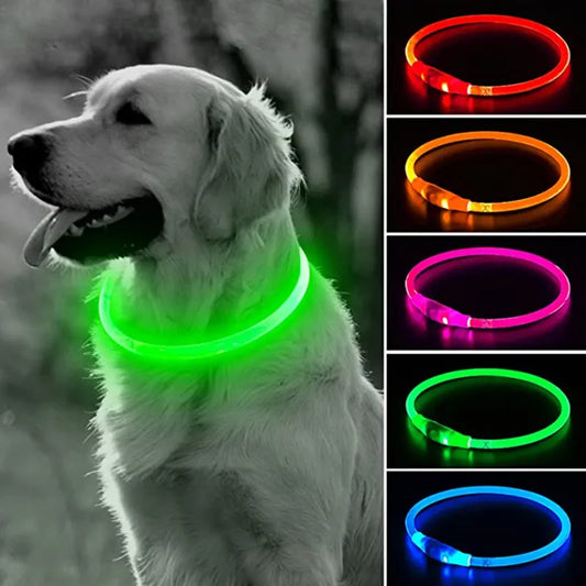 Minous LED Dog Collar – Rechargeable Safety Collar