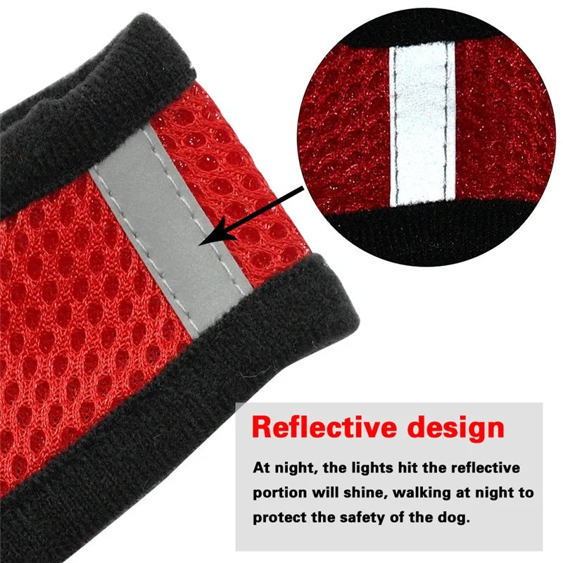 Breathable Mesh Pet Harness and Leash Set