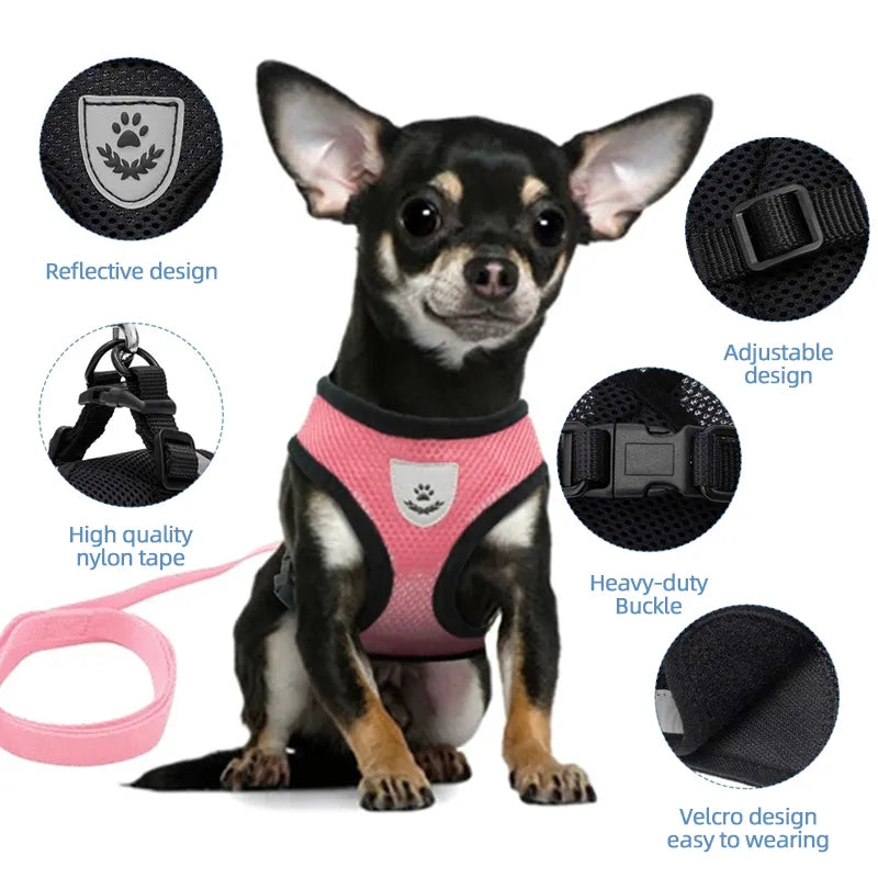 Adjustable Mesh Dog Harness and Leash Set