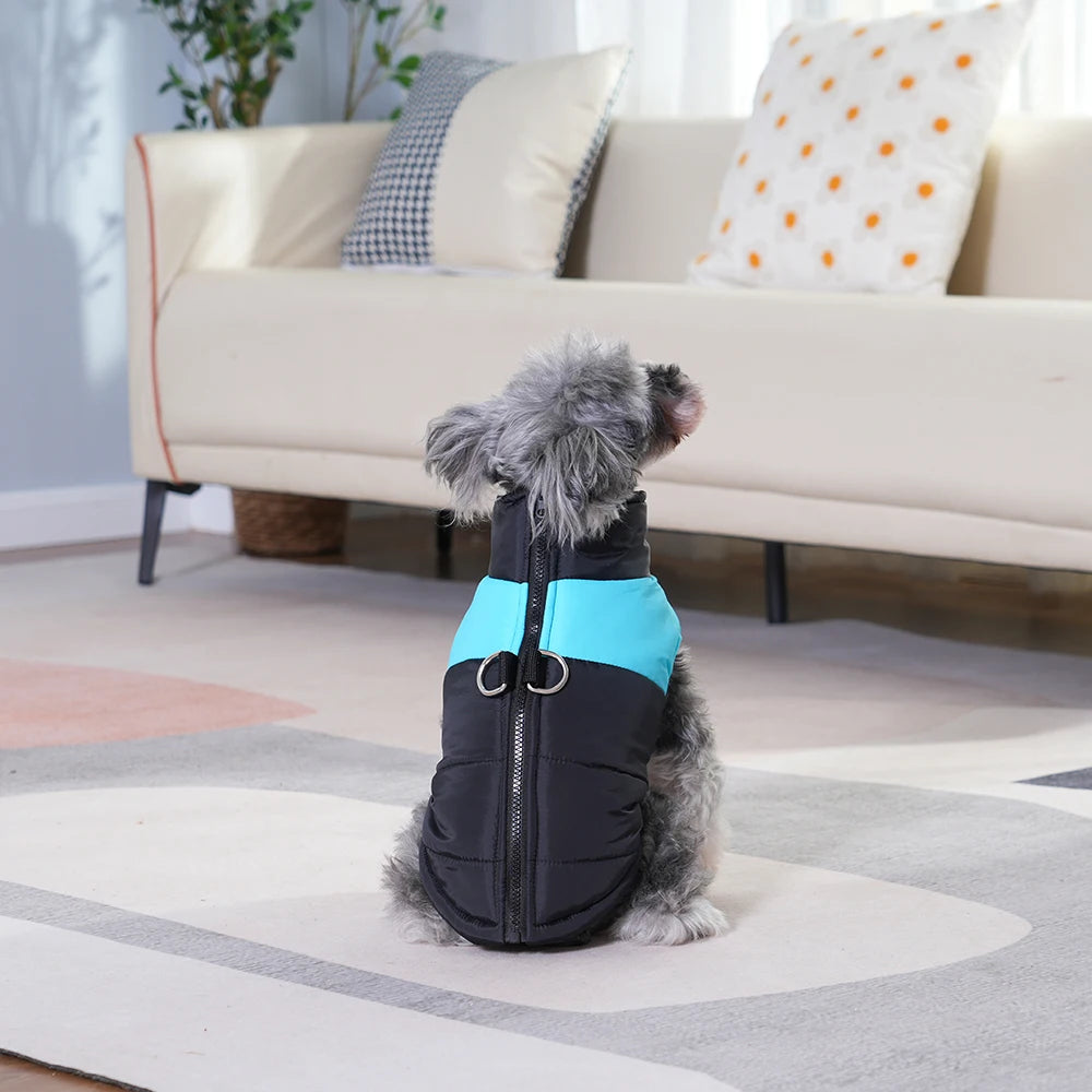 Holapet Waterproof Dog Jacket for Autumn/Winter