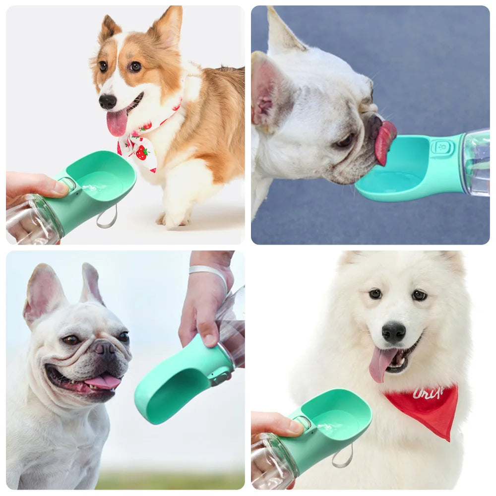 Portable Dog Water