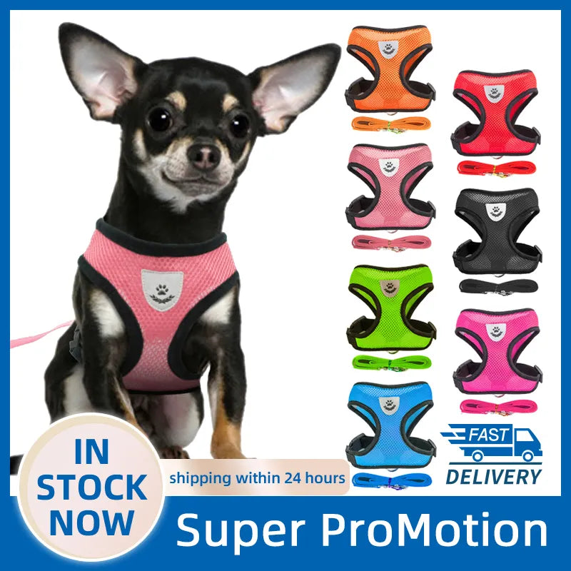 Adjustable Mesh Dog Harness and Leash Set