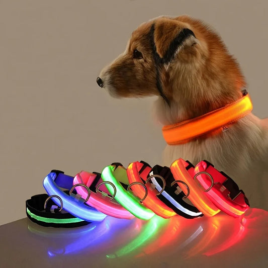 Luminous LED Dog Leash and Collar – Night Safety Set