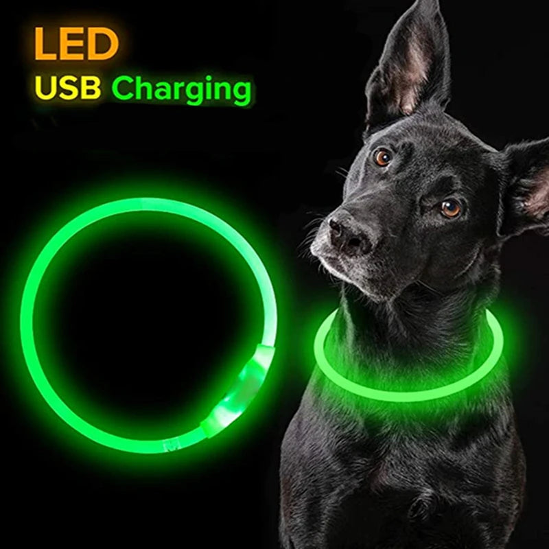 Minous LED Dog Collar – Rechargeable Safety Collar