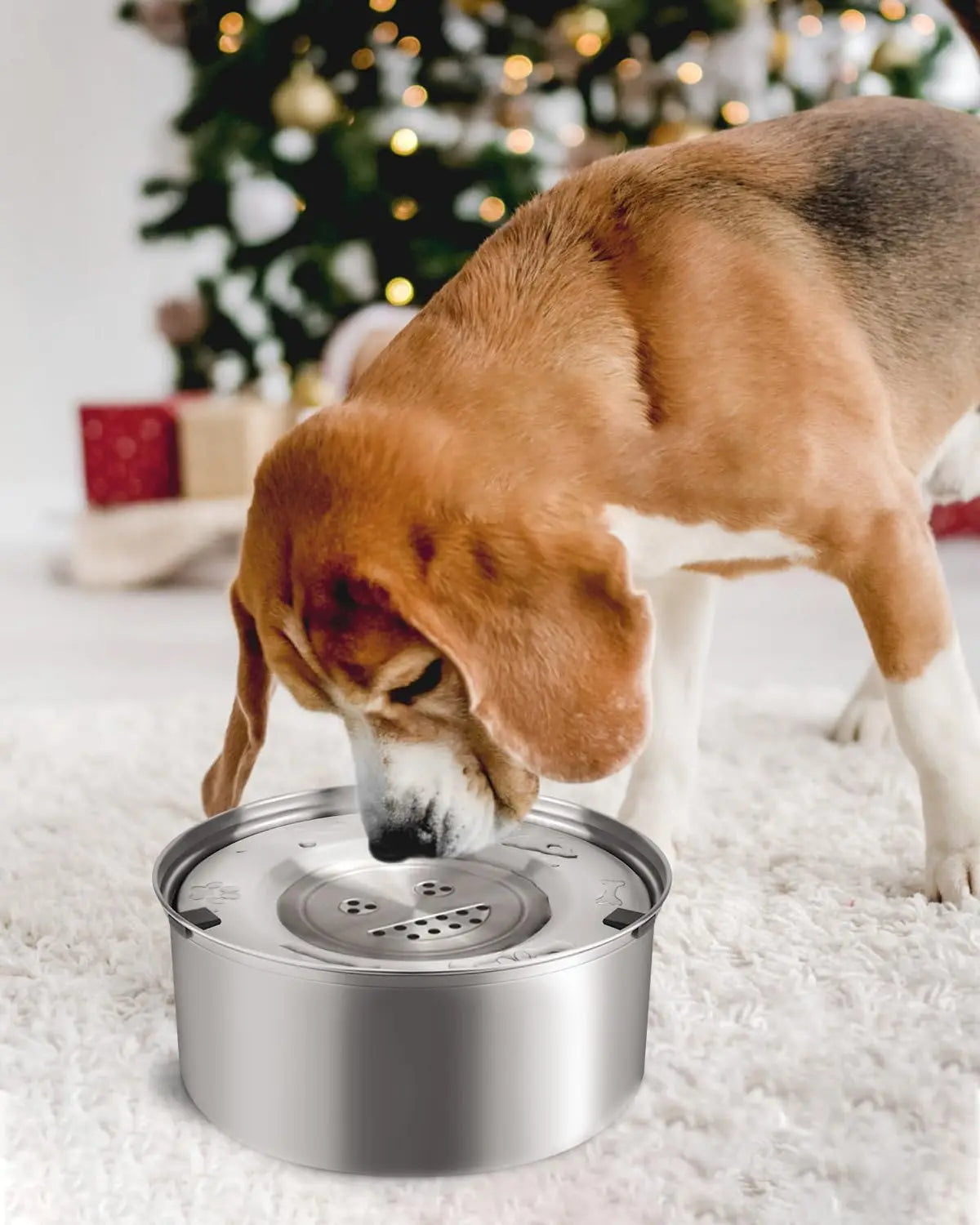 Spill-Proof XXL Stainless Steel Dog Water Bowl with Floating Disk