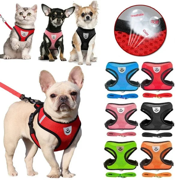 Breathable Mesh Pet Harness and Leash Set