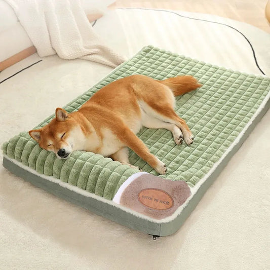 Pet Cushion