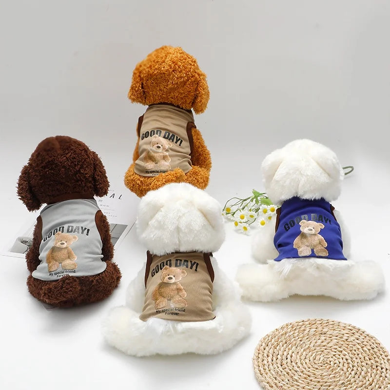 Cartoon Bear Dog Clothes