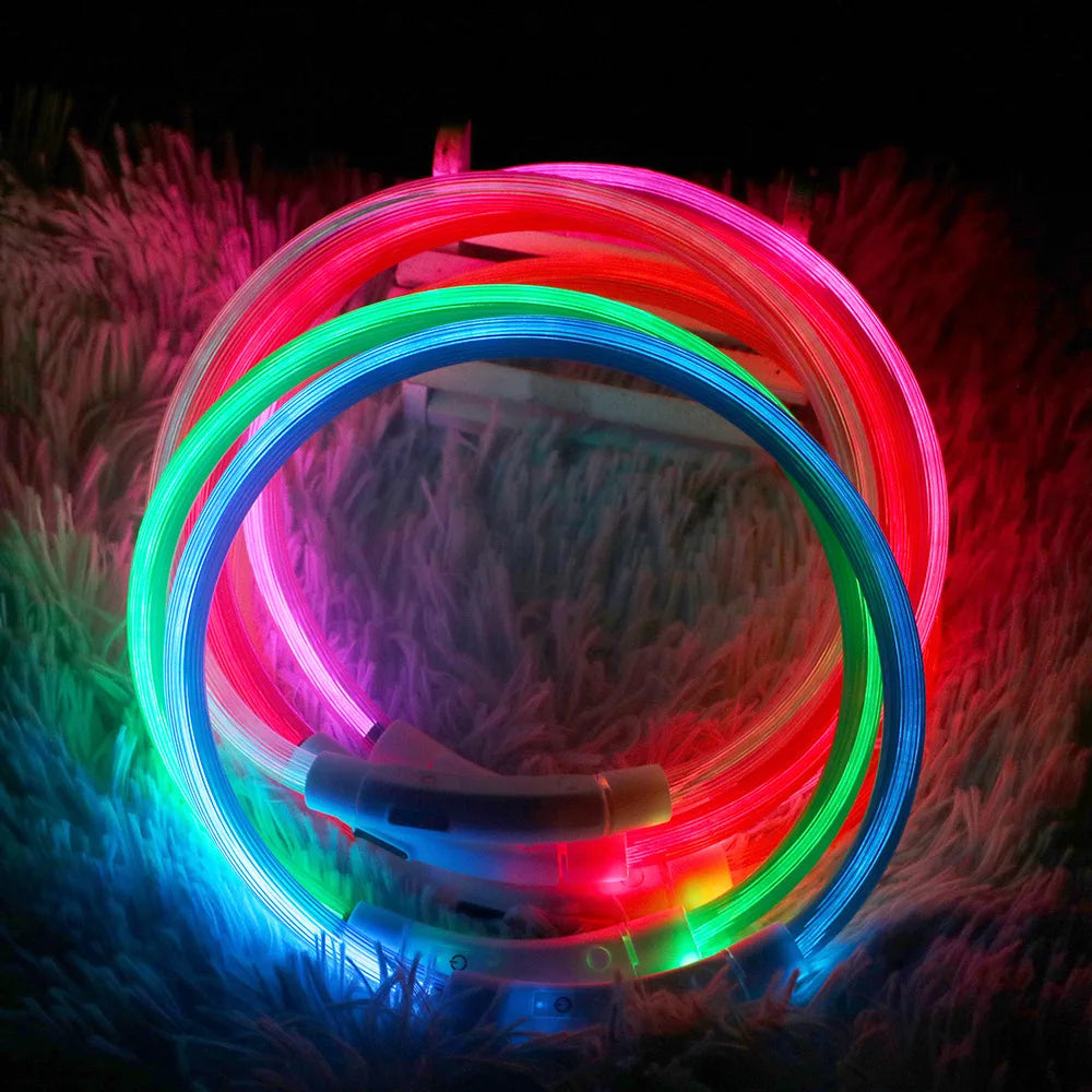 Minous LED Dog Collar – Rechargeable Safety Collar